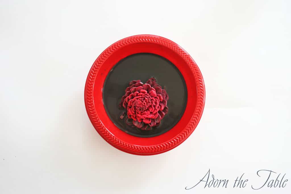 Red sola wood flower sitting in black paint