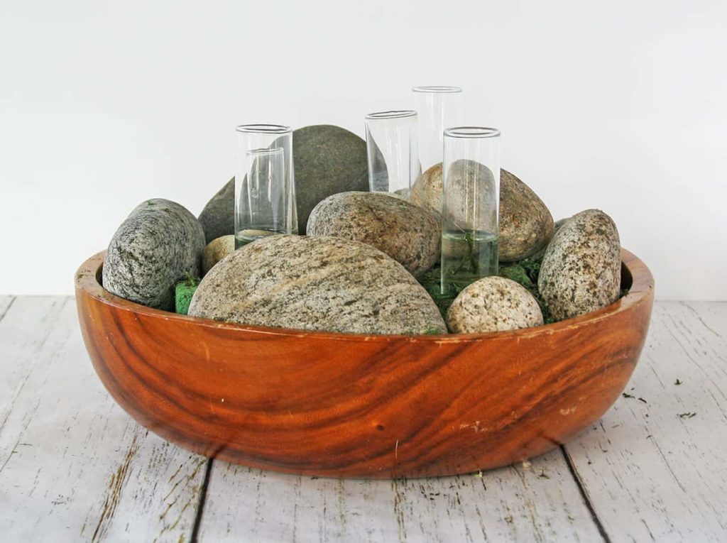 Rocks and tubes added to moss bowl