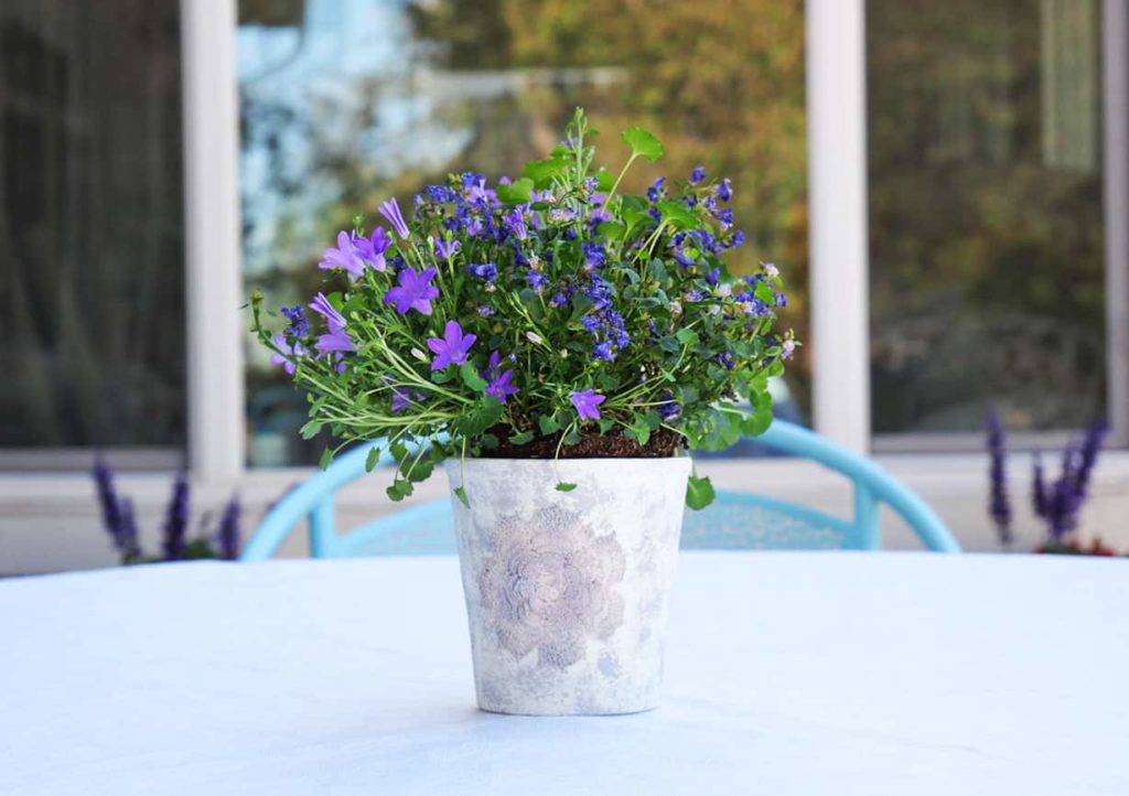 Summer Outdoor Dining Essentials flowers on table