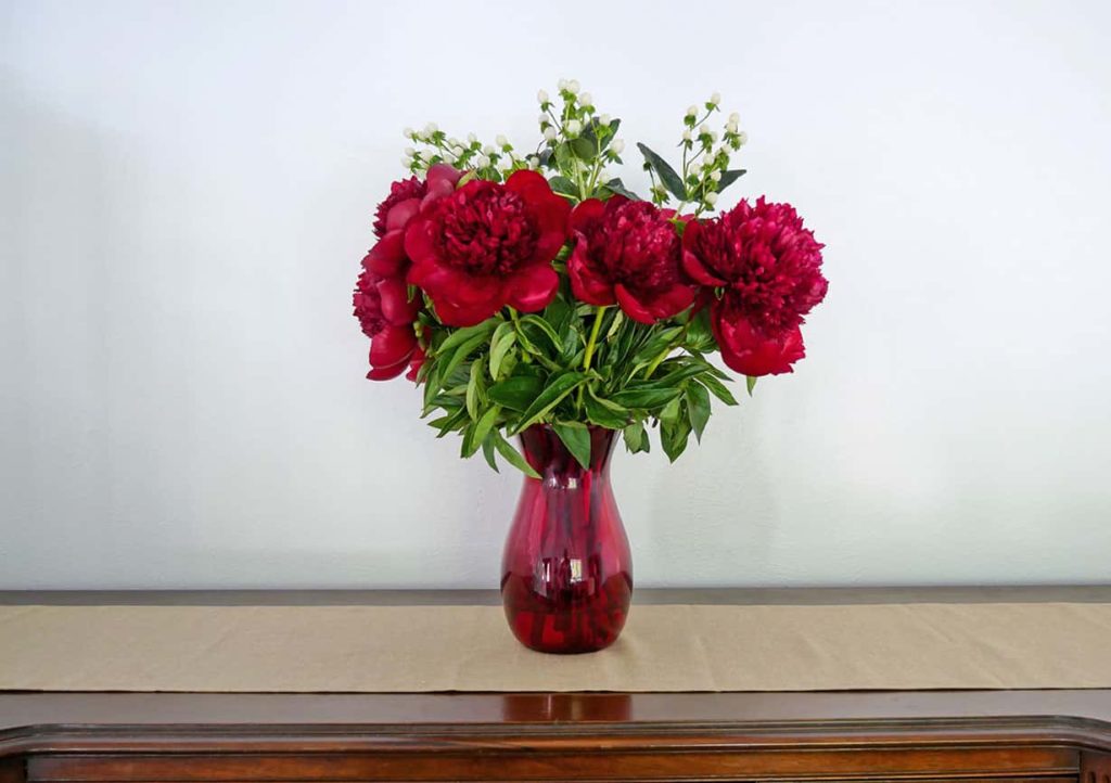 Red peonies in red vase.