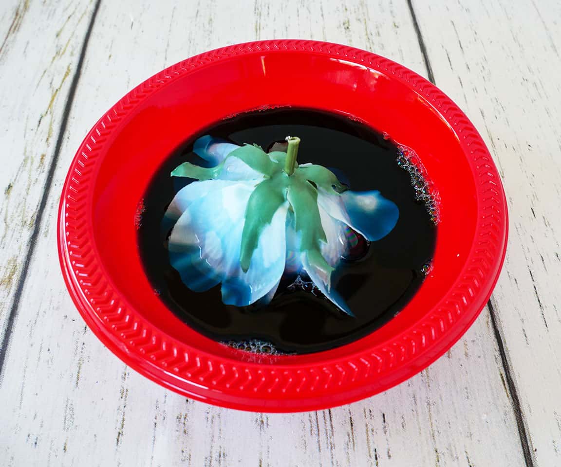 How to Dye White Fake Flowers Adorn the Table