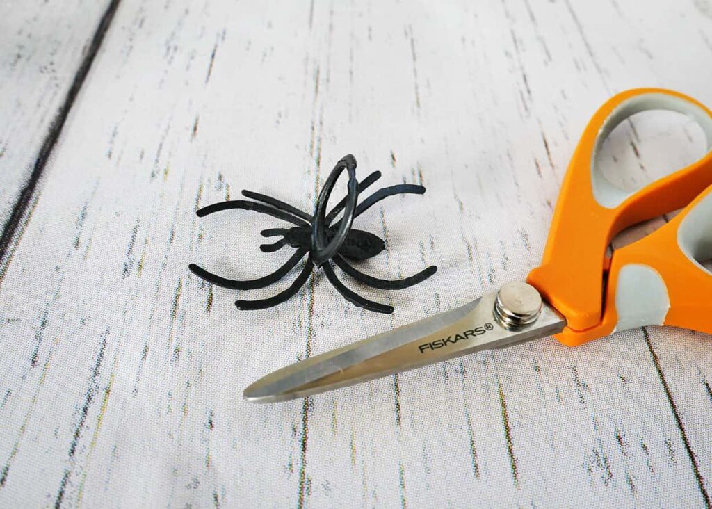 Scissors and black spider ring