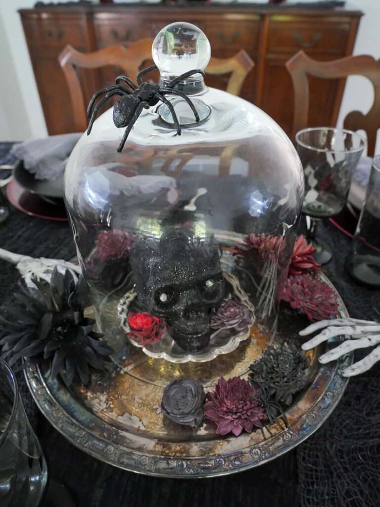Overhead view of cloche with spider on top.