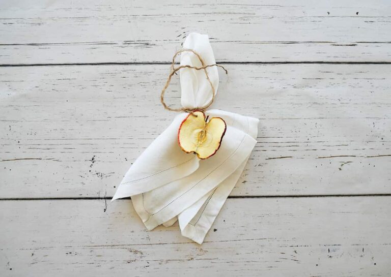 Easy DIY Dried Apple Napkin Rings for Fall