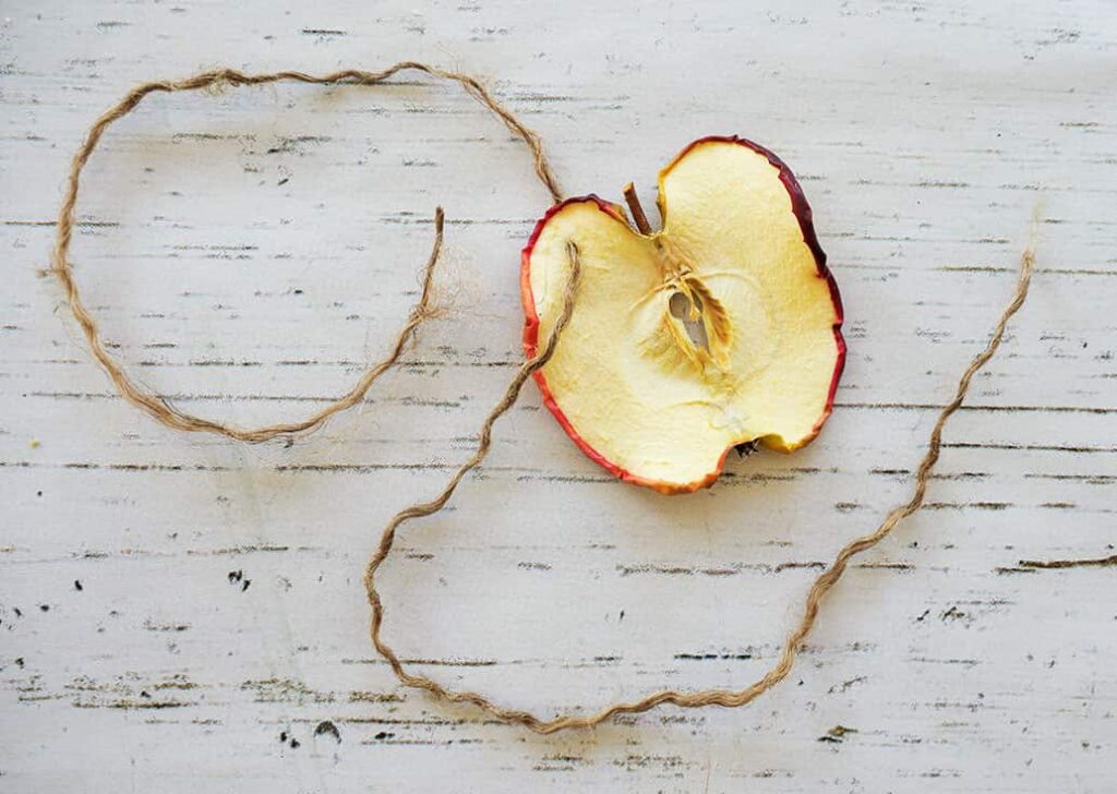 DIY Dried Apple Napkin Rings with twine thru apple.