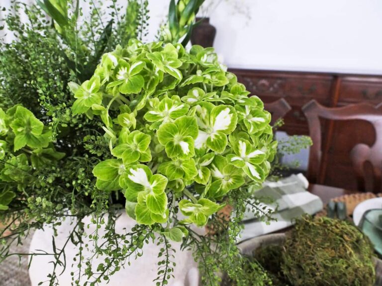 Style a Natural St. Patrick’s Day Table Setting
